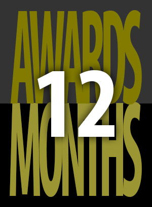 12 Awards in 12 Months