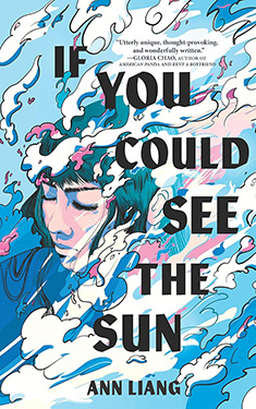 If You Could See the Sun