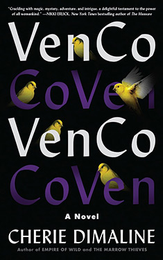 VenCo:  A Novel