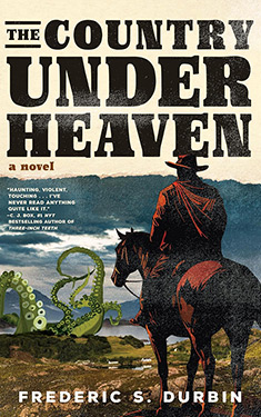 The Country Under Heaven: A Novel