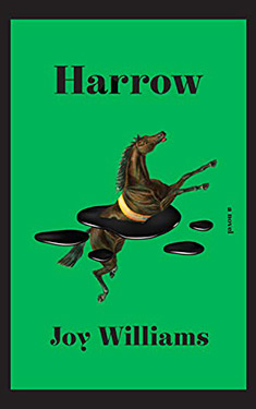 Harrow:  A Novel