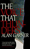 The Voice That Thunders: Essays and Lectures