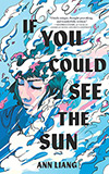 If You Could See the Sun