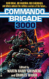 Commando Brigade 3000