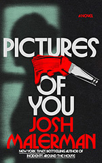 Pictures of You: A Novel