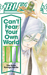 Bleach: Can't Fear Your Own World, Vol. 3