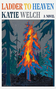 Ladder to Heaven:  A Novel