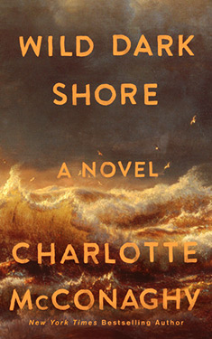 Wild Dark Shore