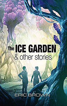 The Ice Garden:  & Other Stories