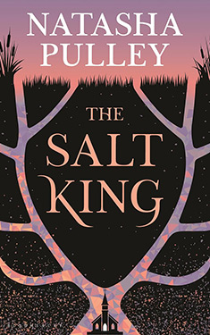 The Salt King