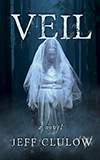 Veil: A Novel