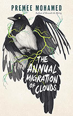 The Annual Migration of Clouds Cover